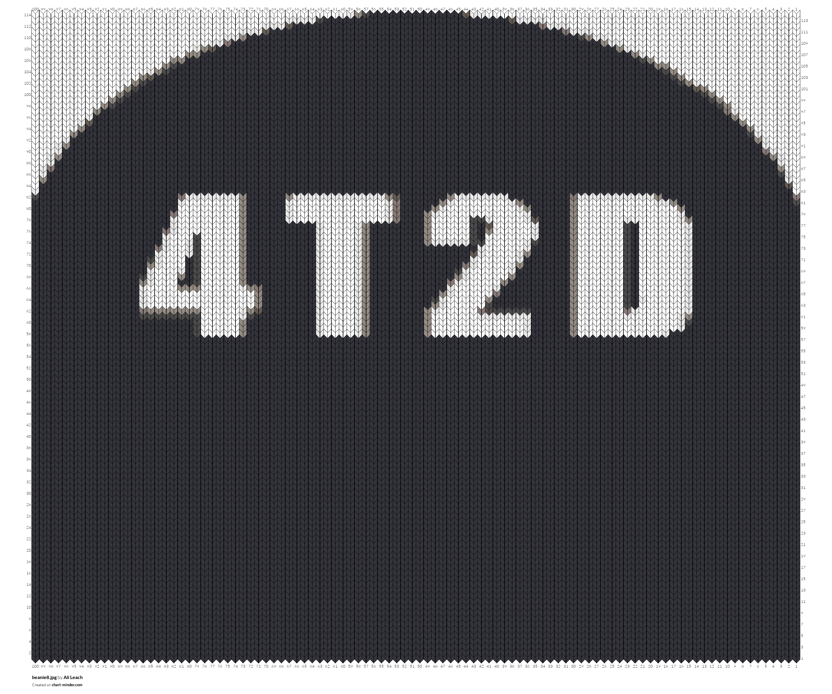 beanie8.jpg