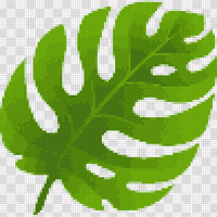 hoja monstera.png
