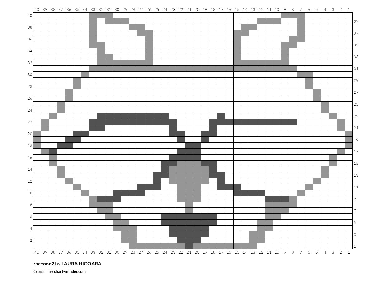 raccoon2