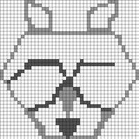 raccoon2
