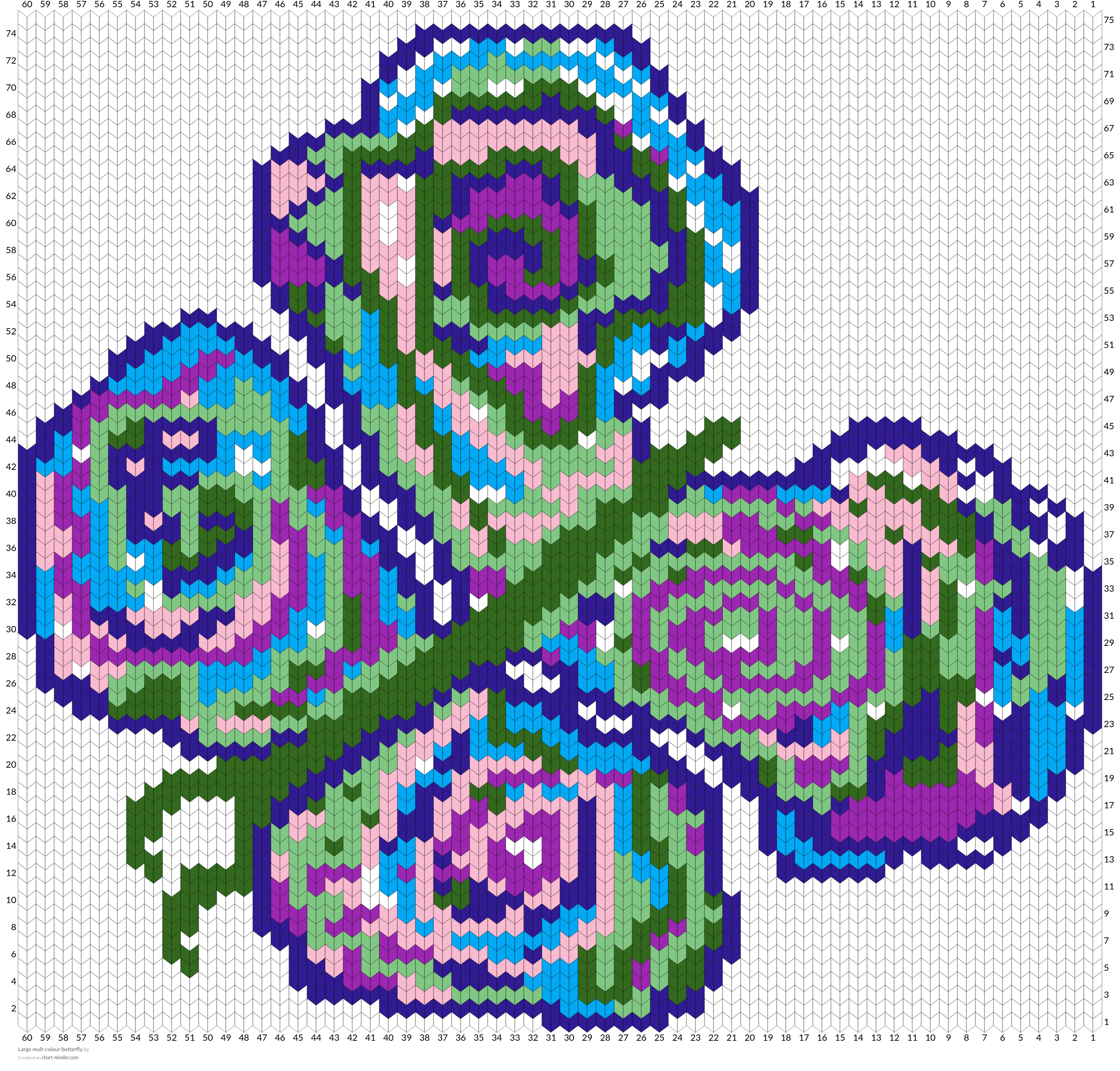 Large mult-colour butterfly