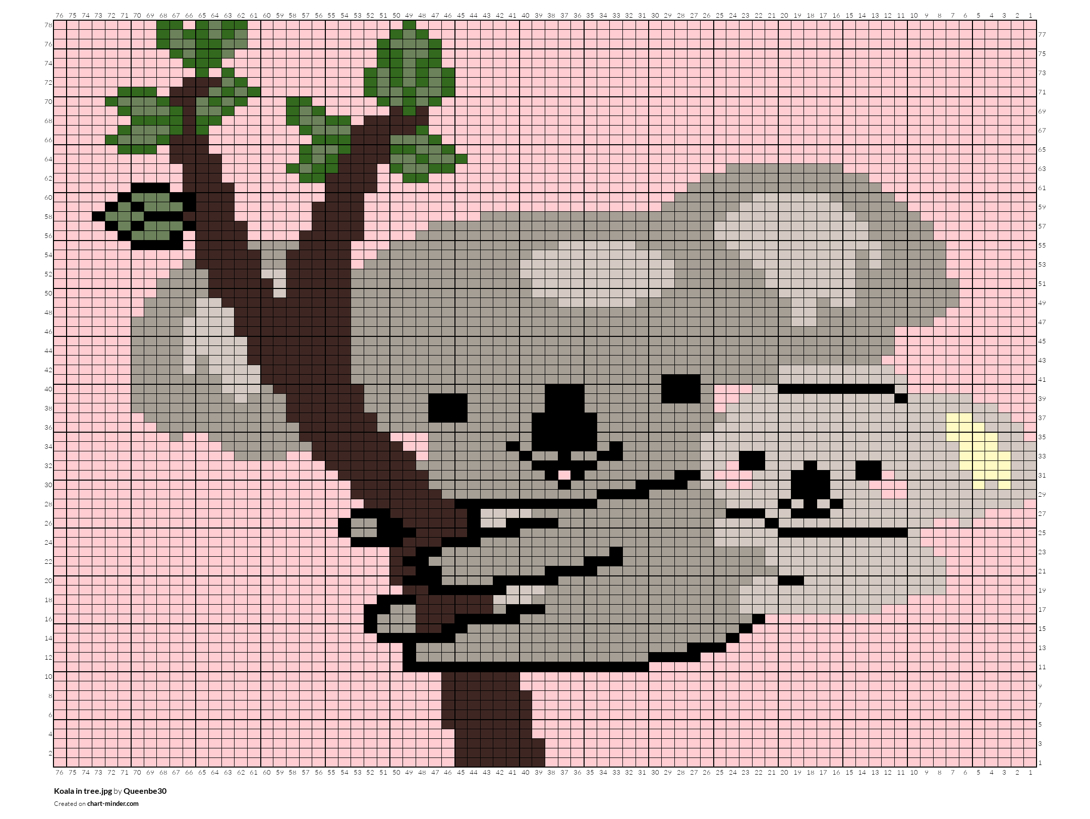 Koala in tree.jpg