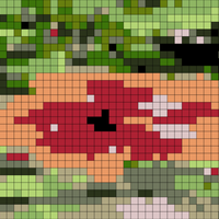 Copy of 4C1BA662-5248-4A94-9FE5-CB19A52644C2.jpg