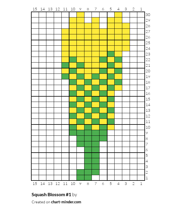 Squash Blossom #1