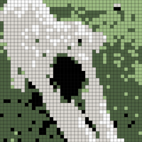 Copy of edi.jpg