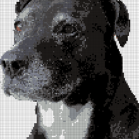 IMG_7160.png