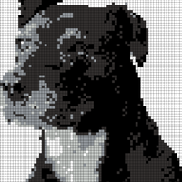 IMG_7160.png