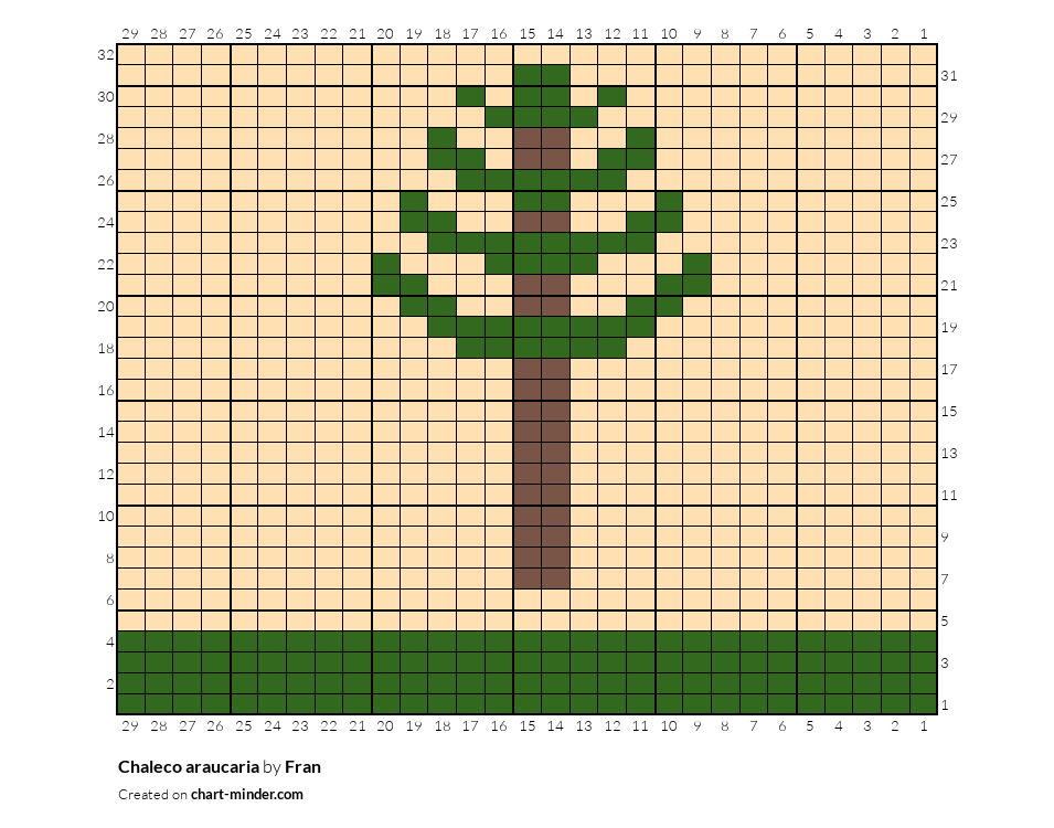 Chaleco araucaria