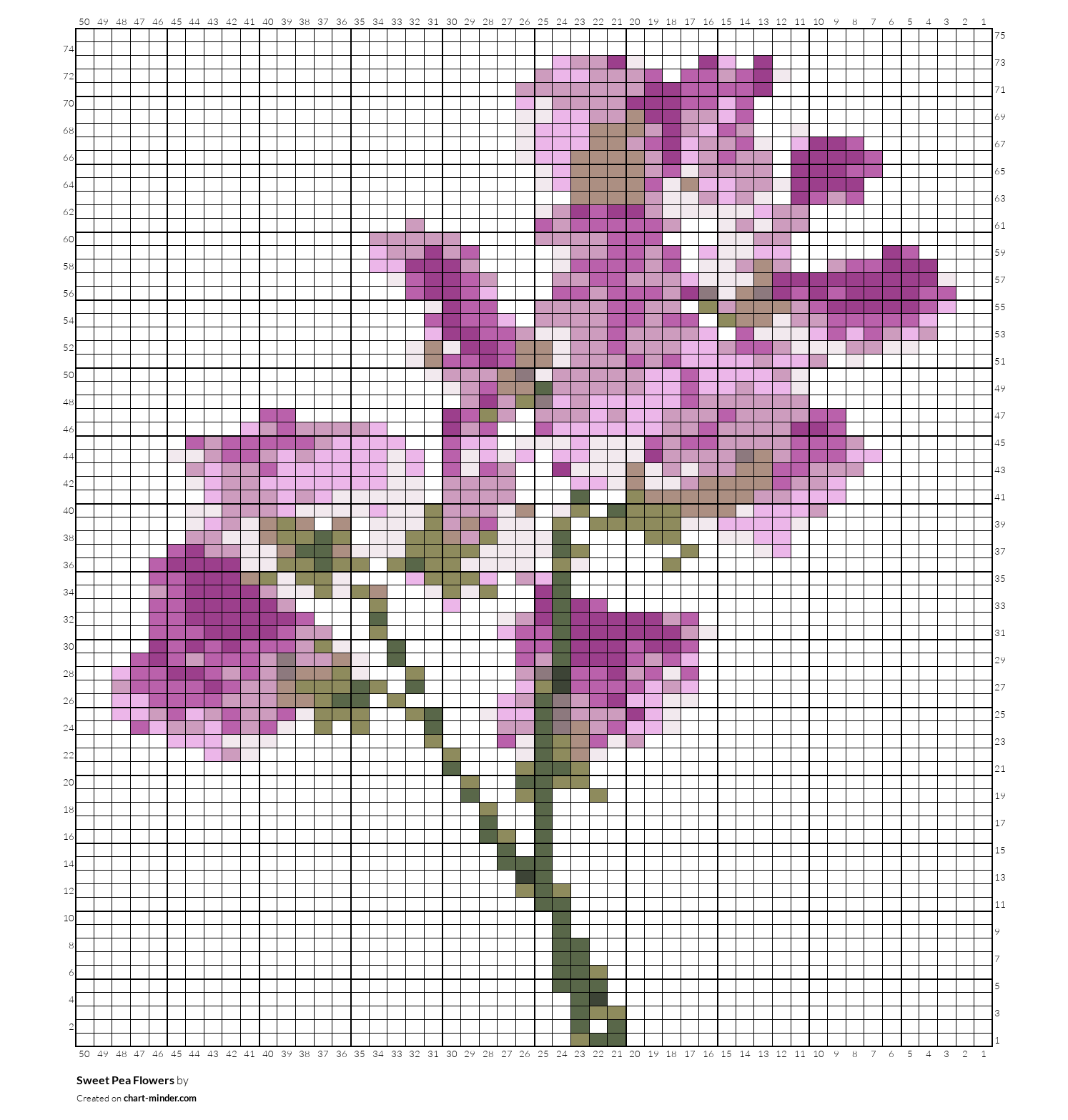 Sweet Pea Flowers
