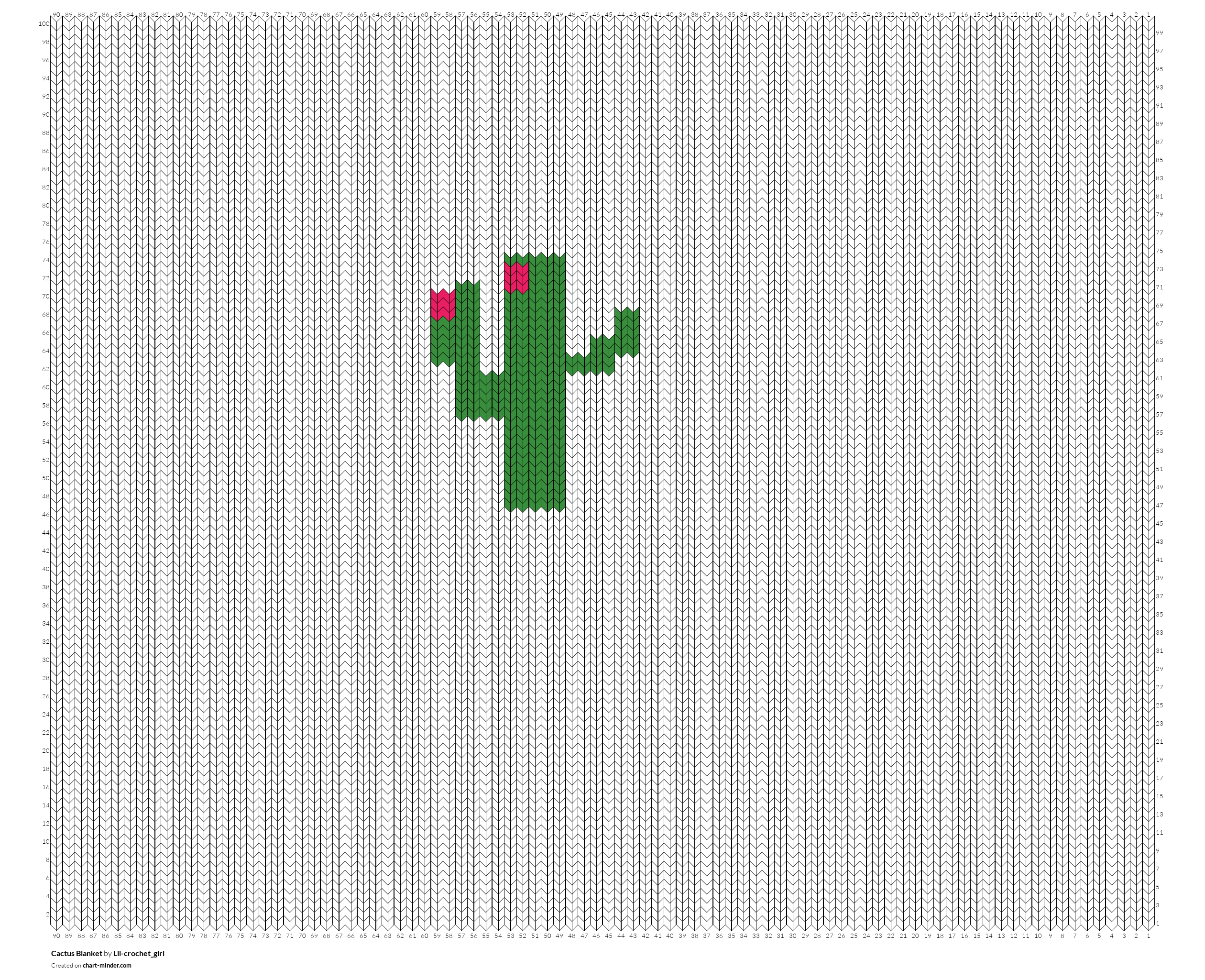 Cactus Blanket