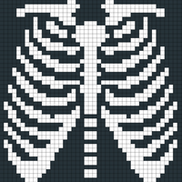 rib cage