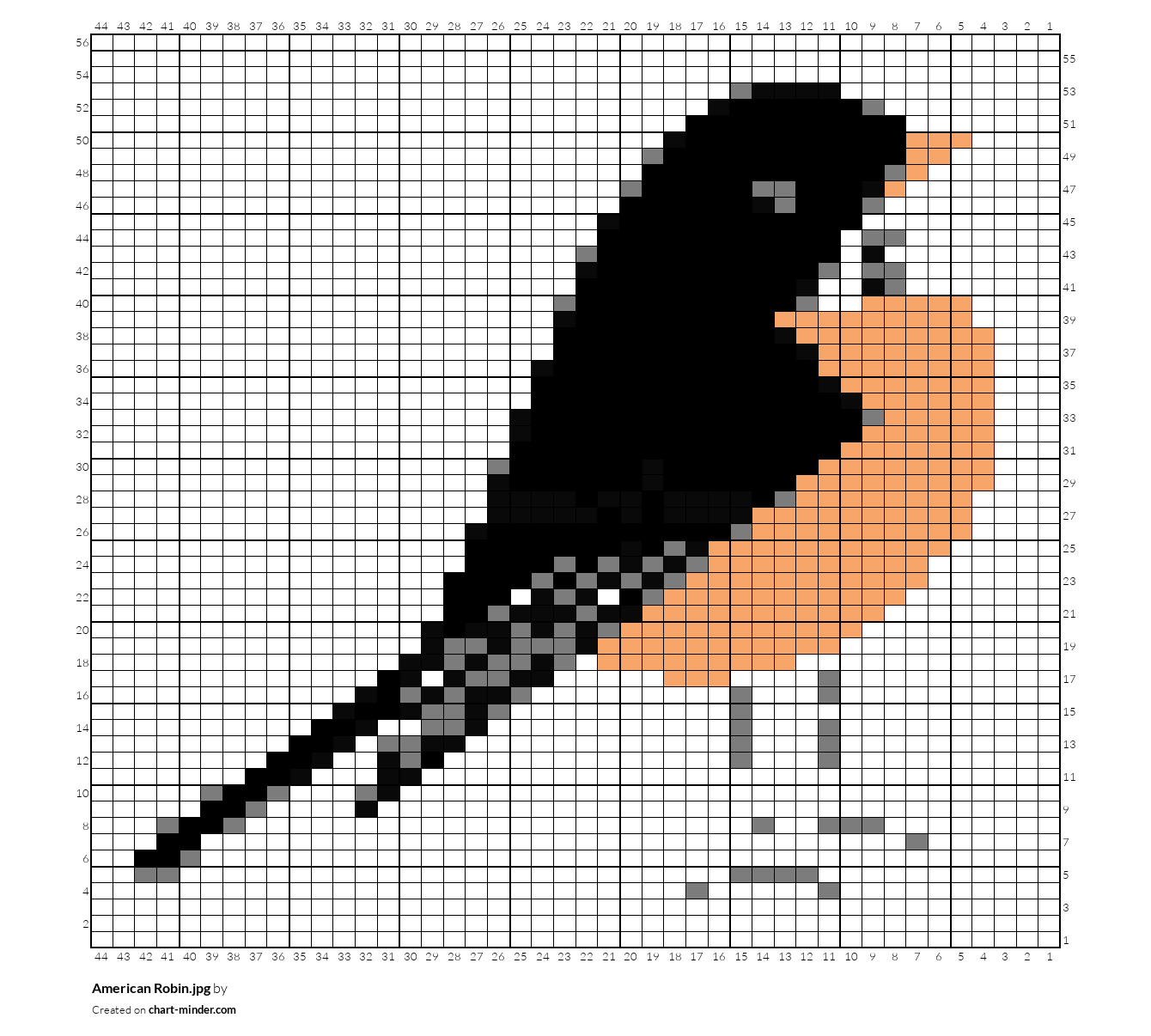 American Robin.jpg