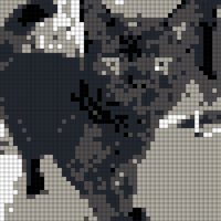 E7DDB3F7-80FD-4B2D-8812-96358A37081C.jpeg
