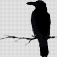 silhouette-of-a-crows-in-different-vector-9695664.jpg