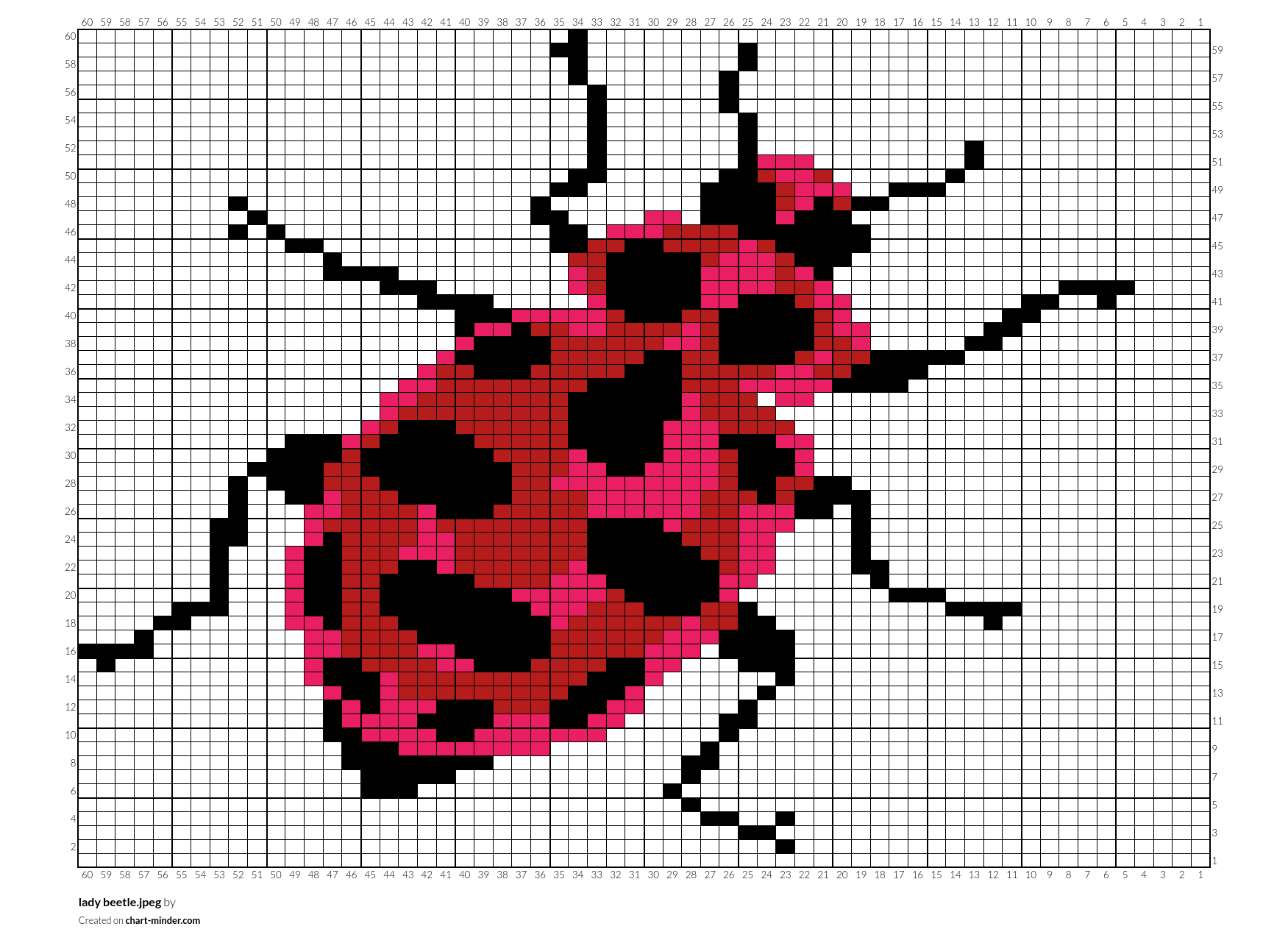 lady beetle.jpeg