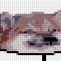 Copy of 374D5E50-03B8-428F-920C-26CDF52A3B96.jpeg