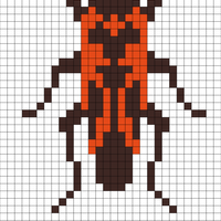 bug