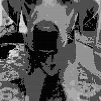 307536273_615324523414964_6375726160577025589_n.jpg