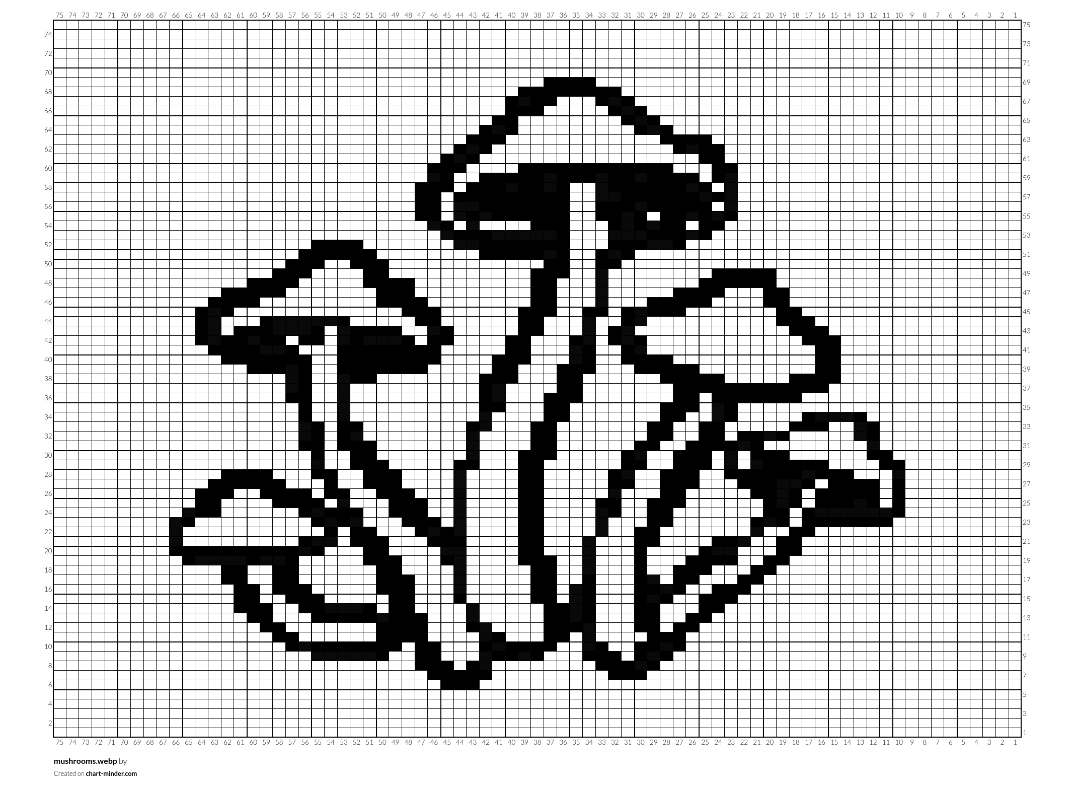 mushrooms.webp