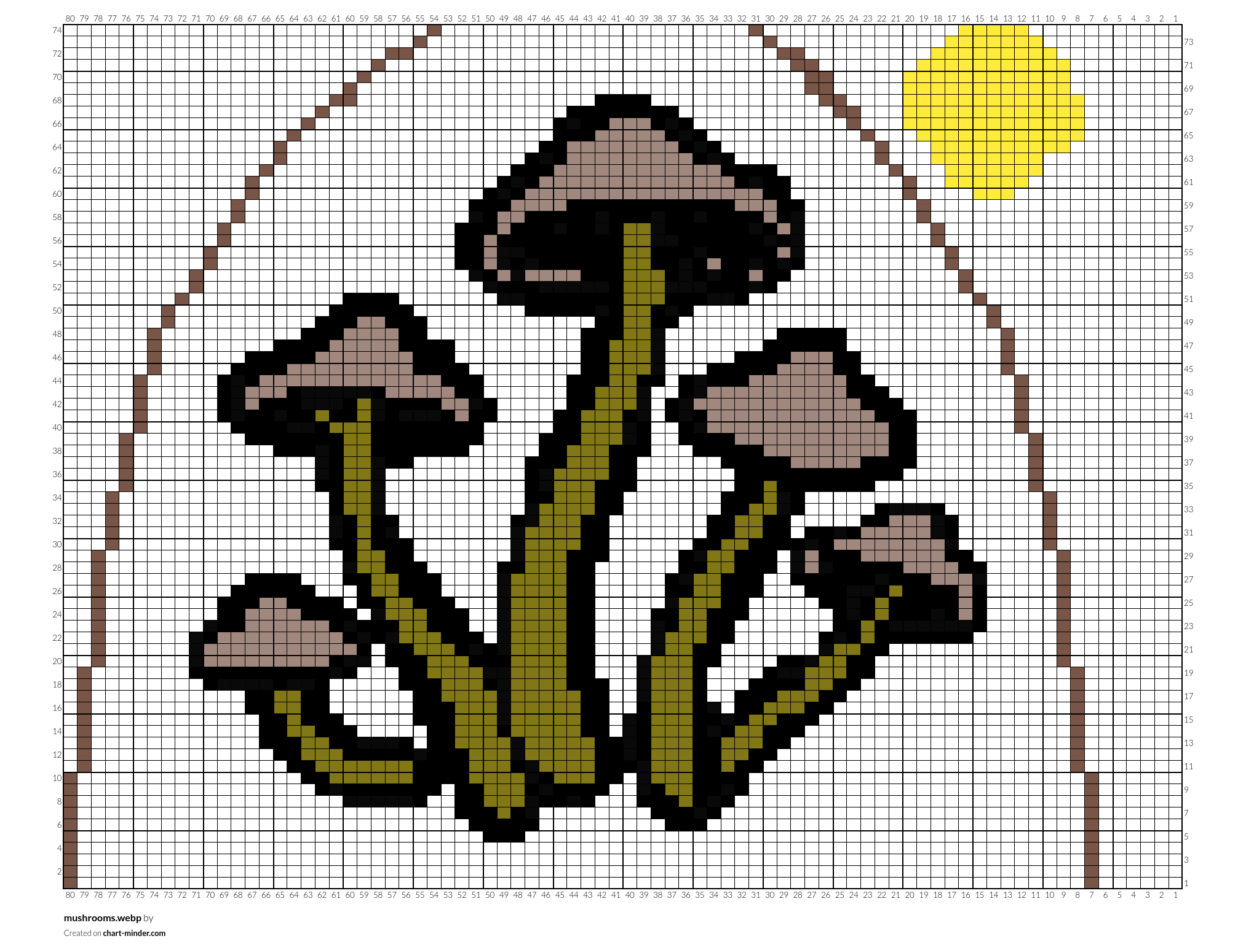 mushrooms.webp