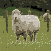 Copy of Copy of sheep.jpeg