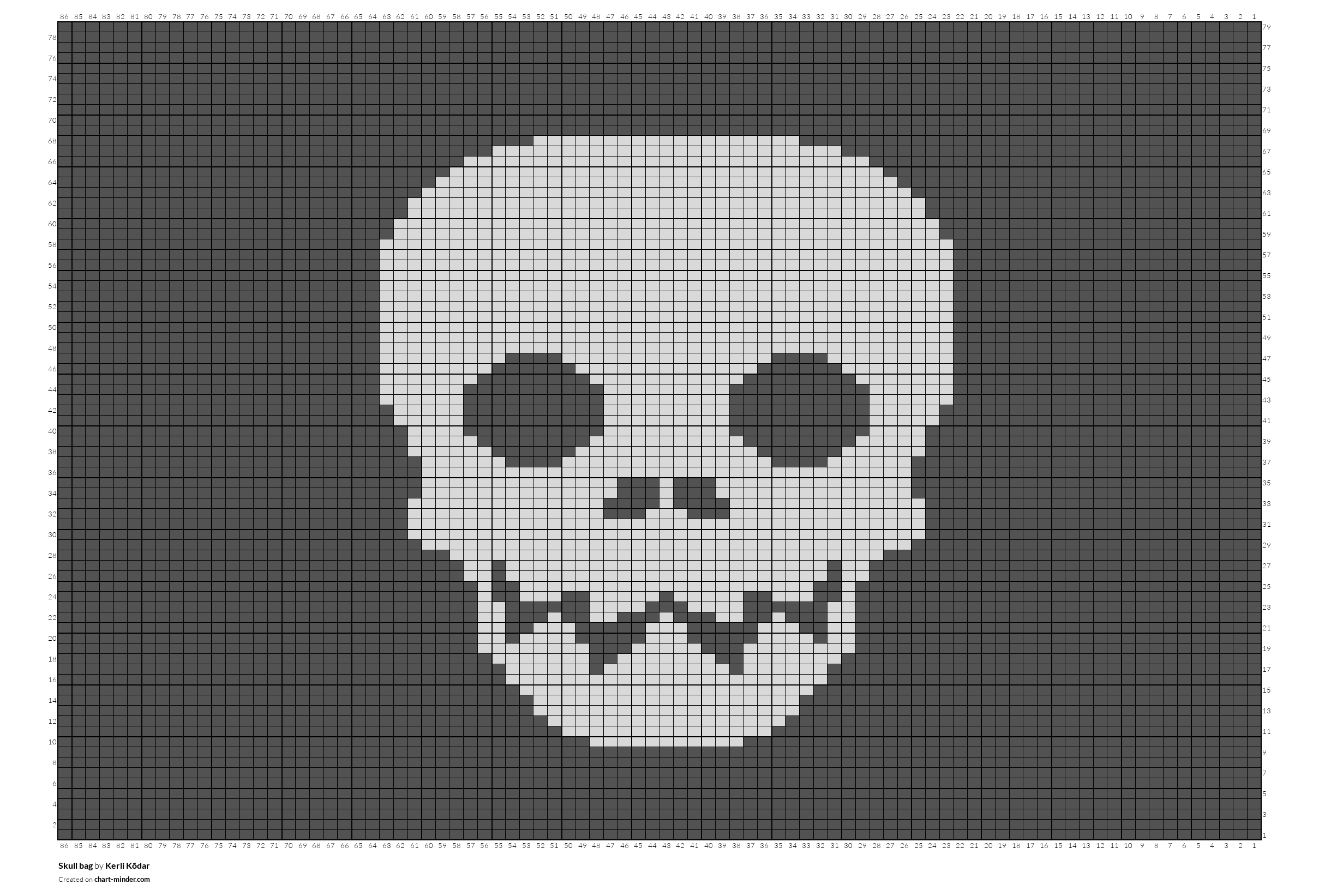 Skull bag