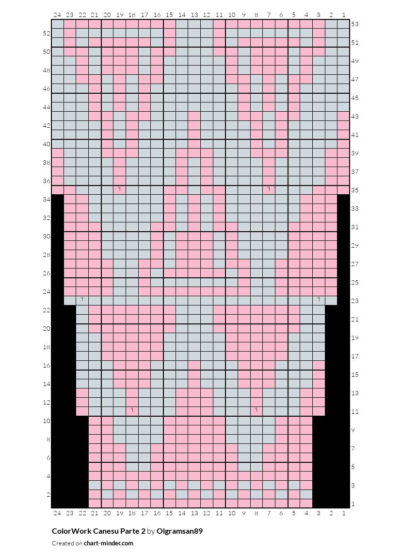 ColorWork Canesu Parte 2