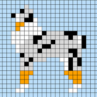 aussie e pecore 60 maglie