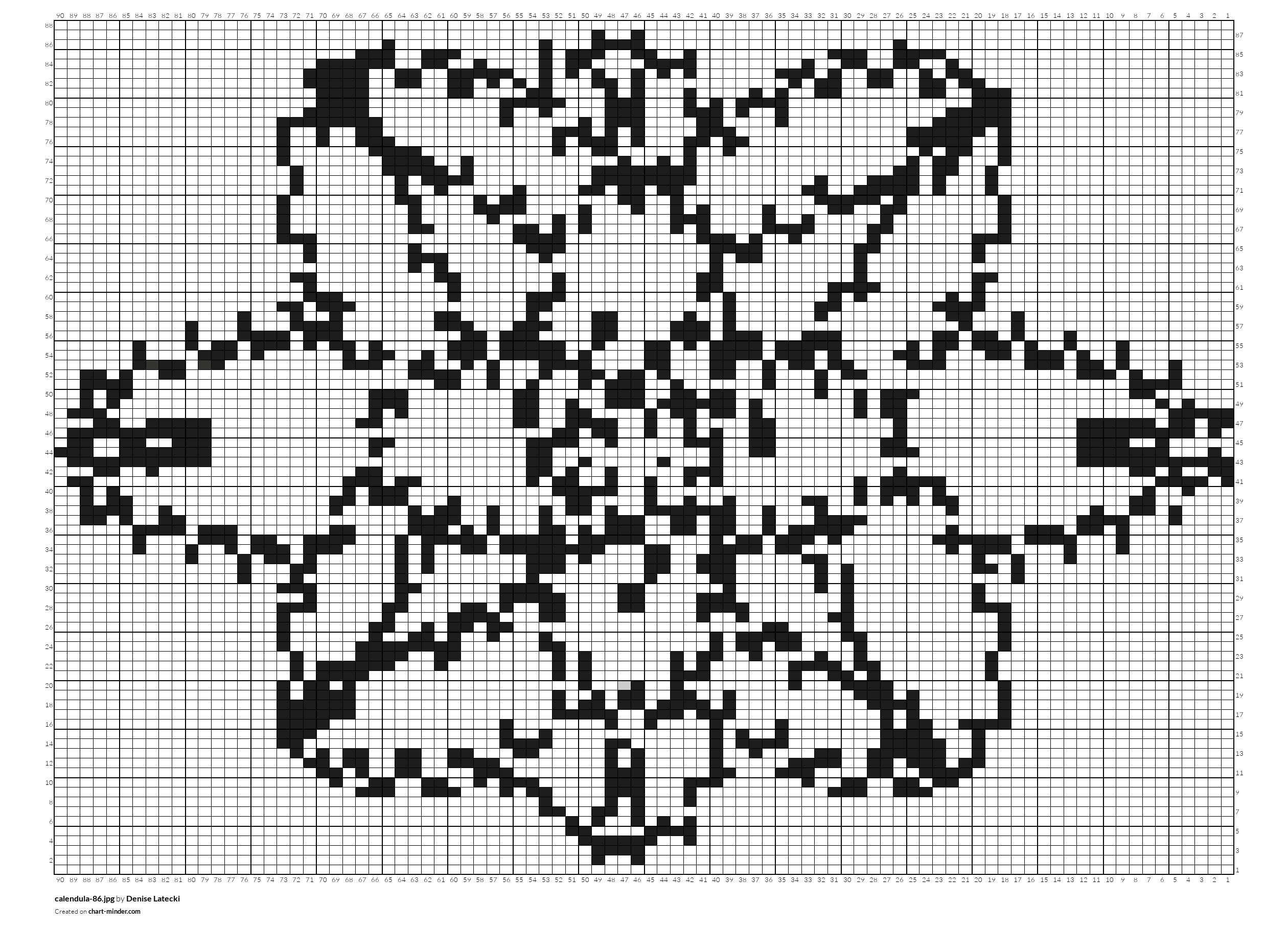 calendula-86.jpg