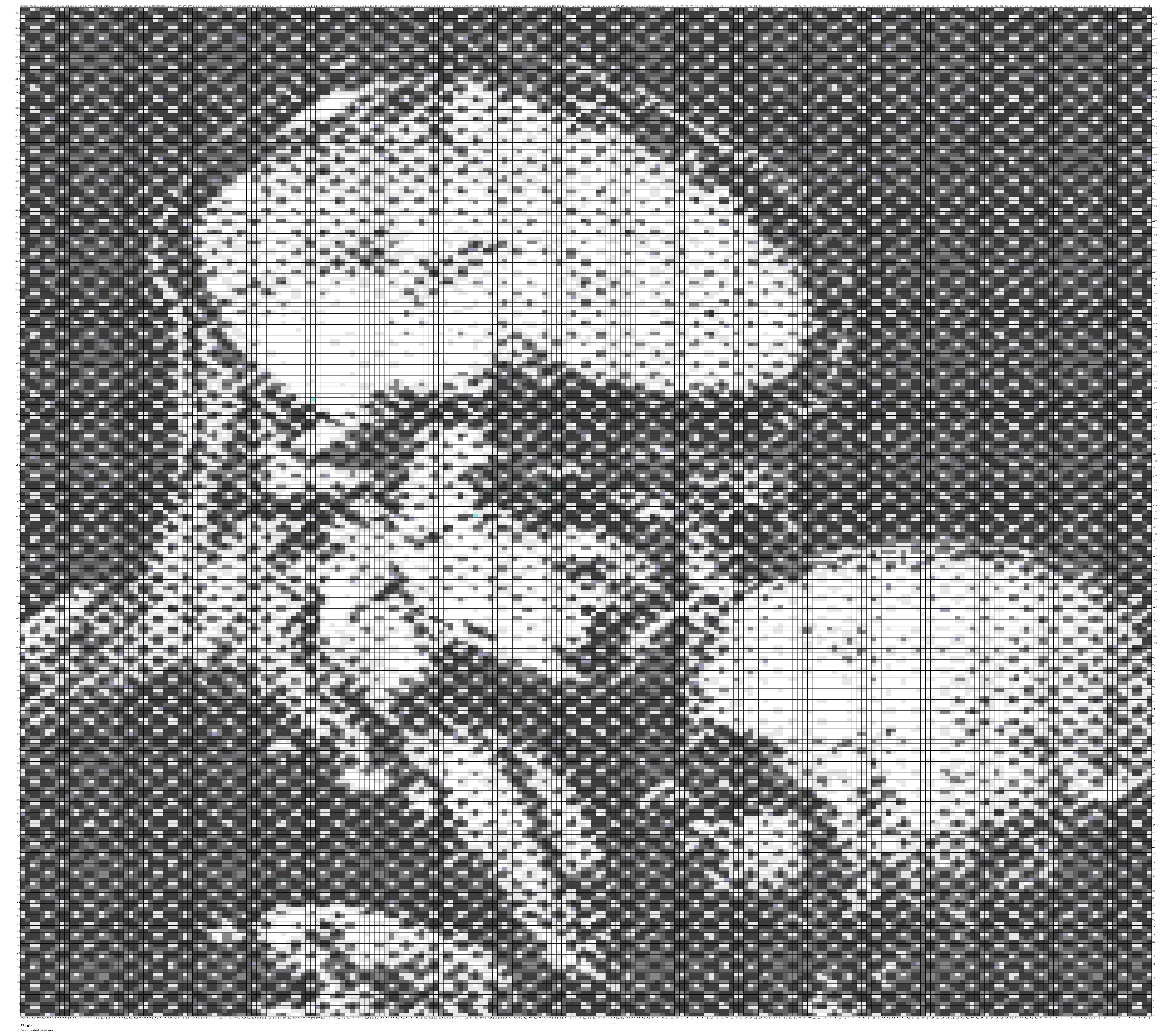 12.jpg