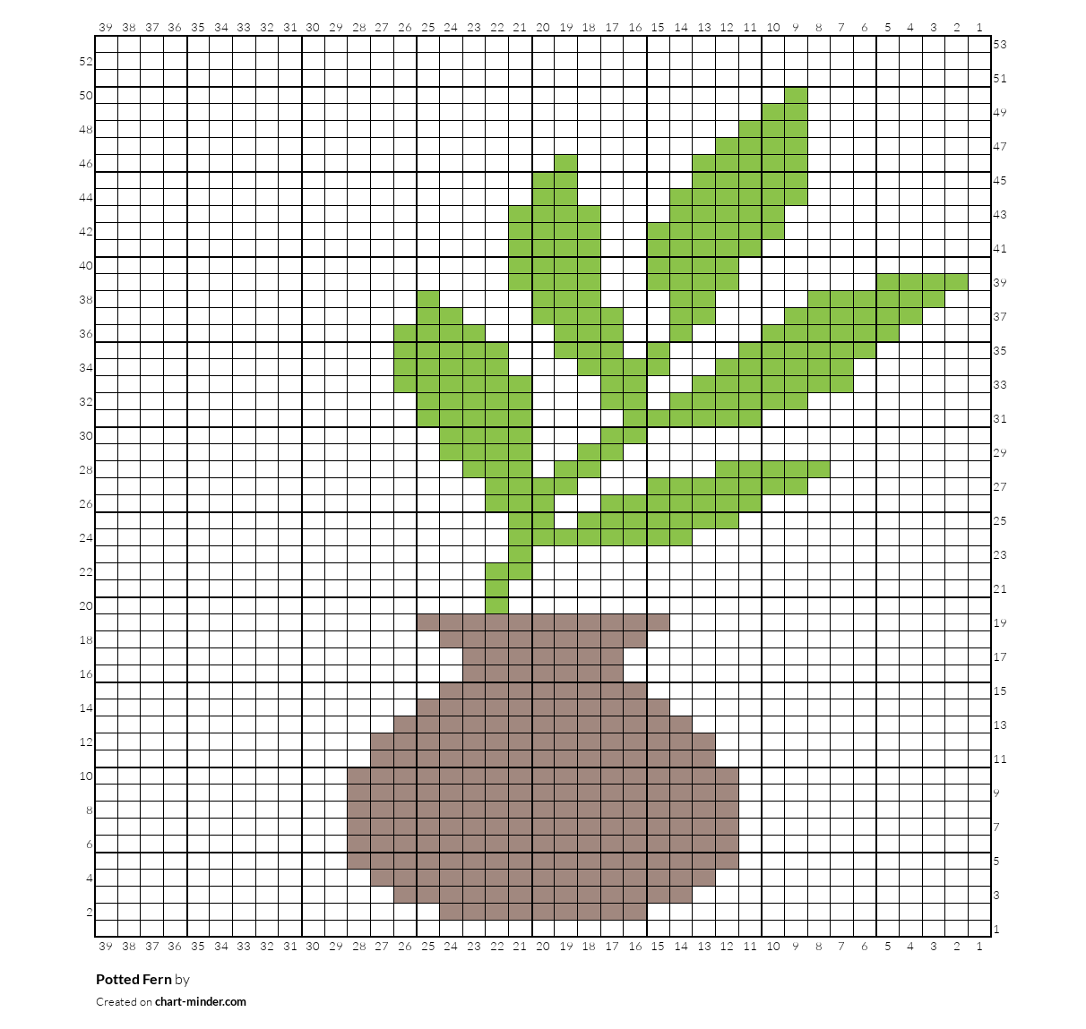 Potted Fern