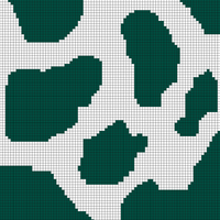 Copy of COW
