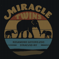 Copy of miracletwins.jpeg