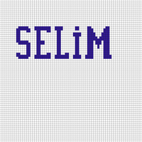Copy of Selim