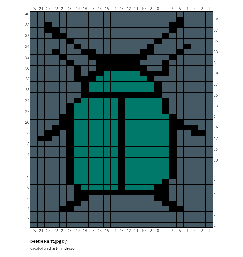 beetle knitt.jpg