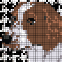 79702147-B646-477C-9A39-4DA5889AA716.jpeg