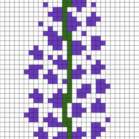 Lupine