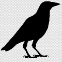Copy of raven.png