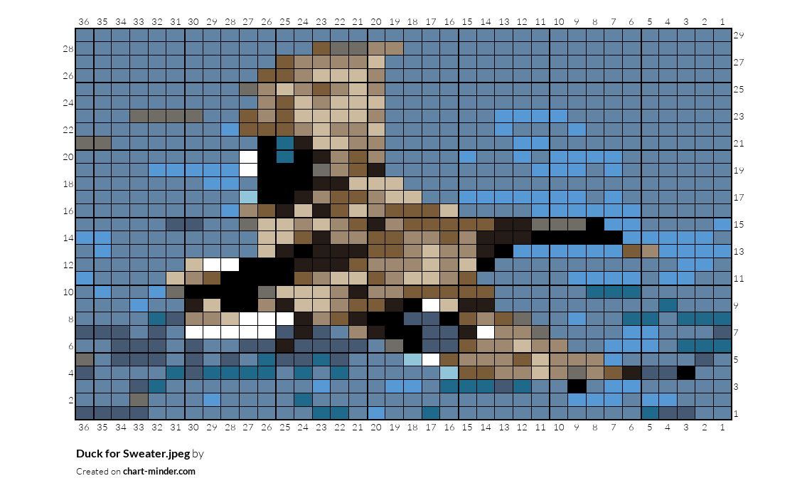 Duck for Sweater.jpeg