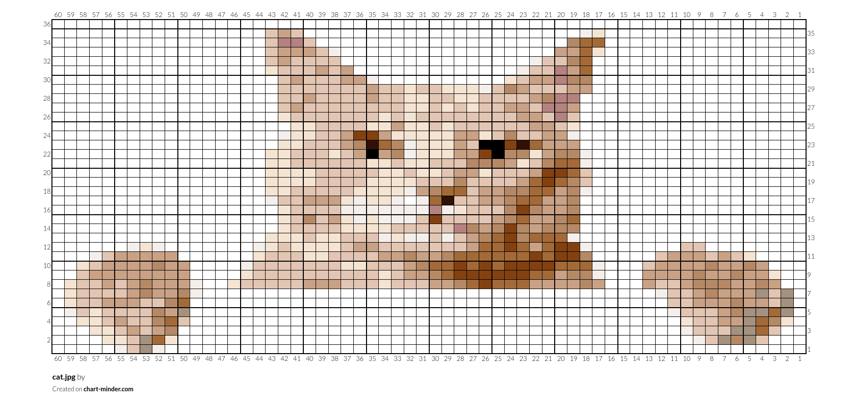 cat.jpg