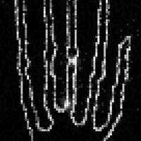 Copy of 906b71420607429f3b0c2248c6b5d324.jpg