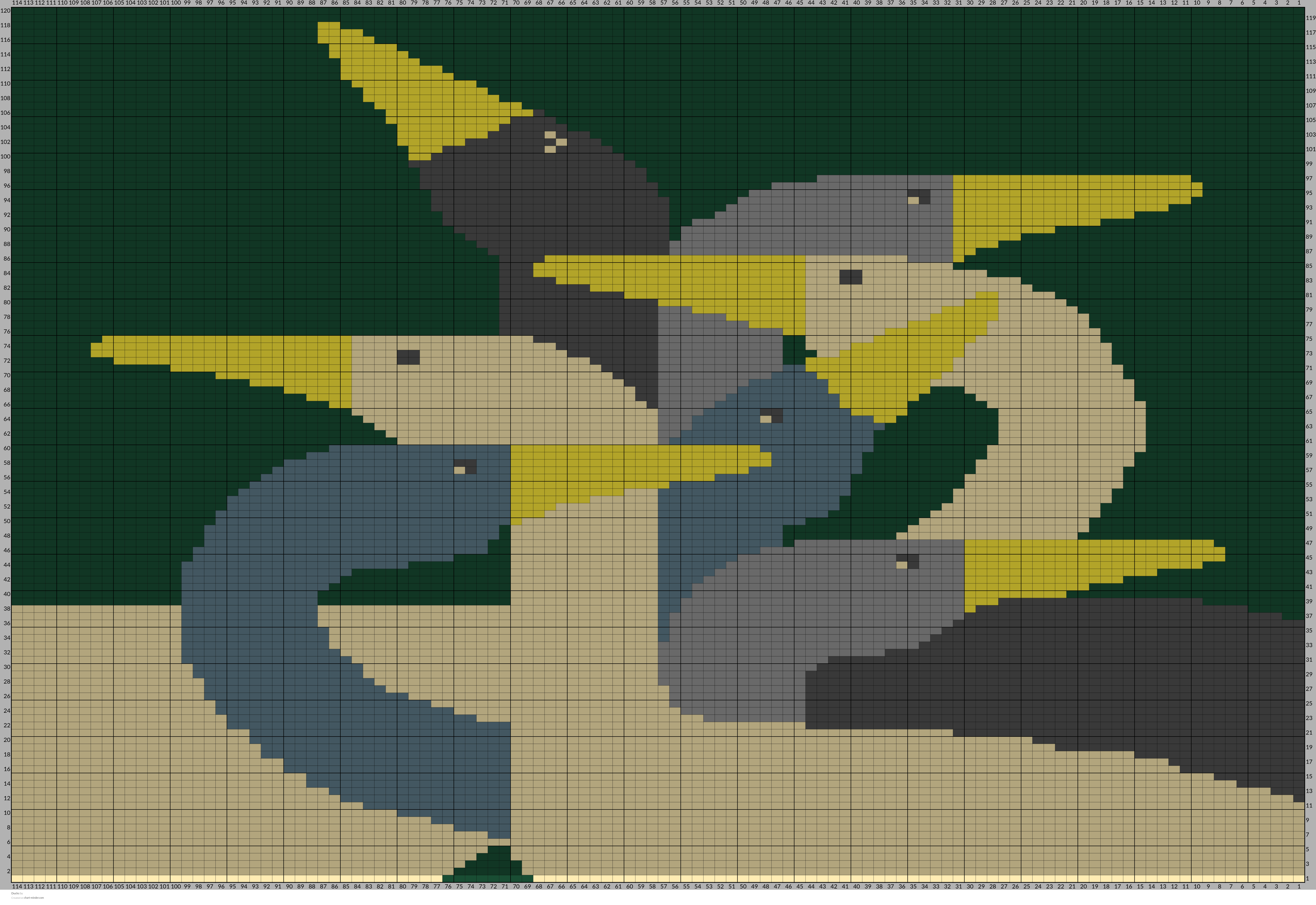 Ducks
