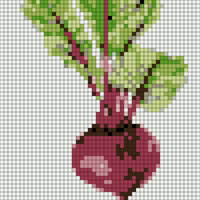 Copy of beet4.jpg