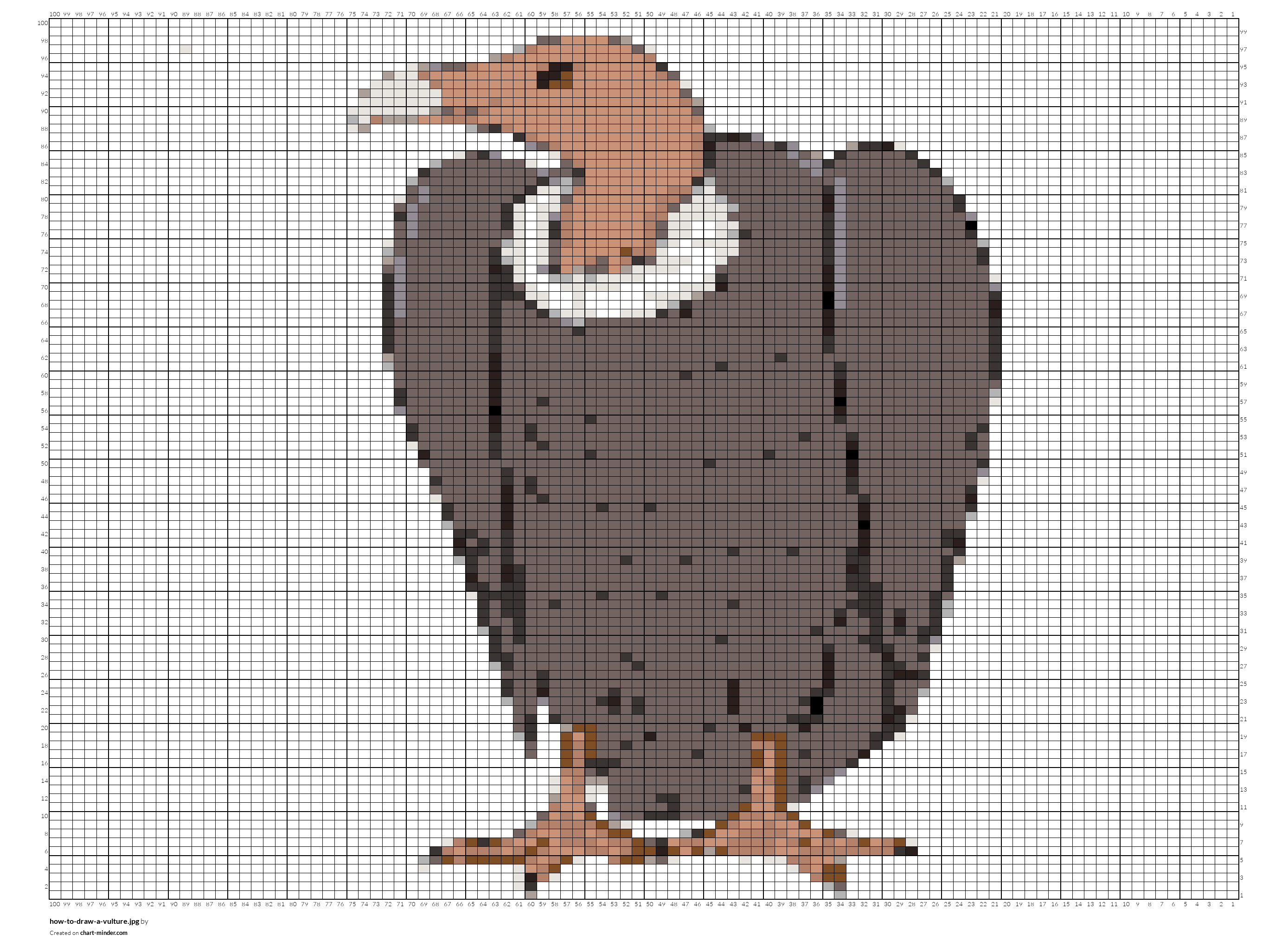 how-to-draw-a-vulture.jpg
