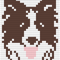 Bordercollie