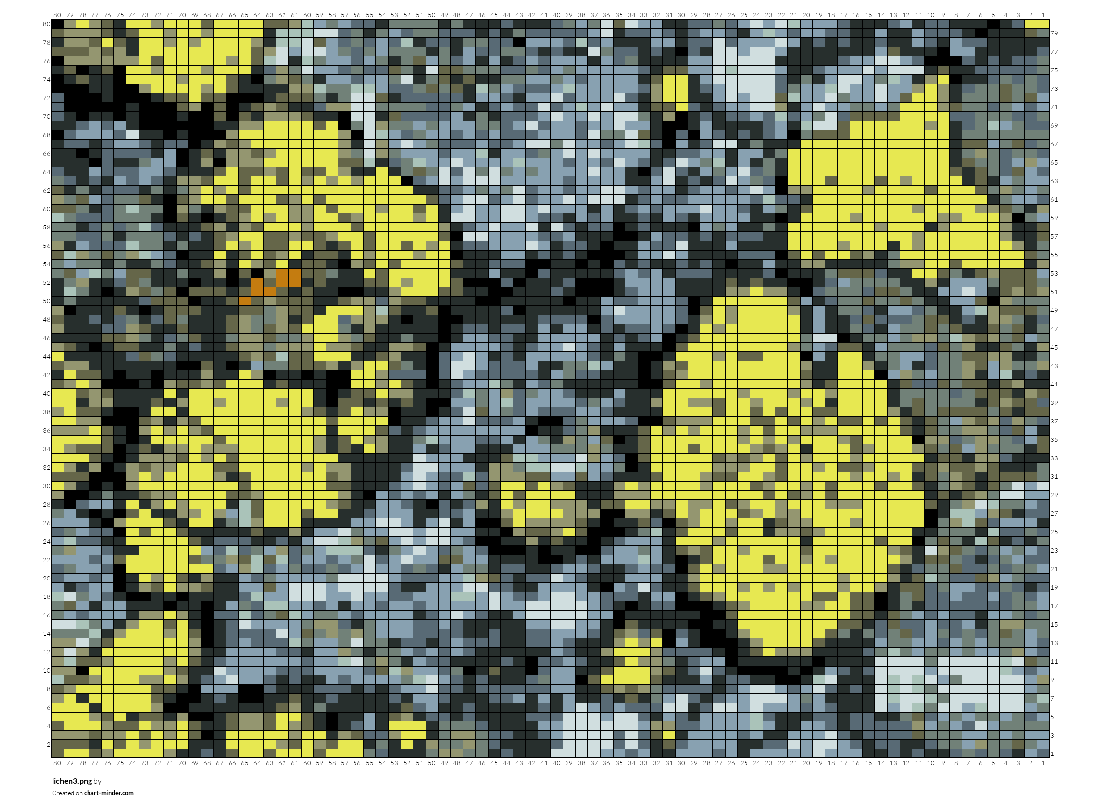 lichen3.png
