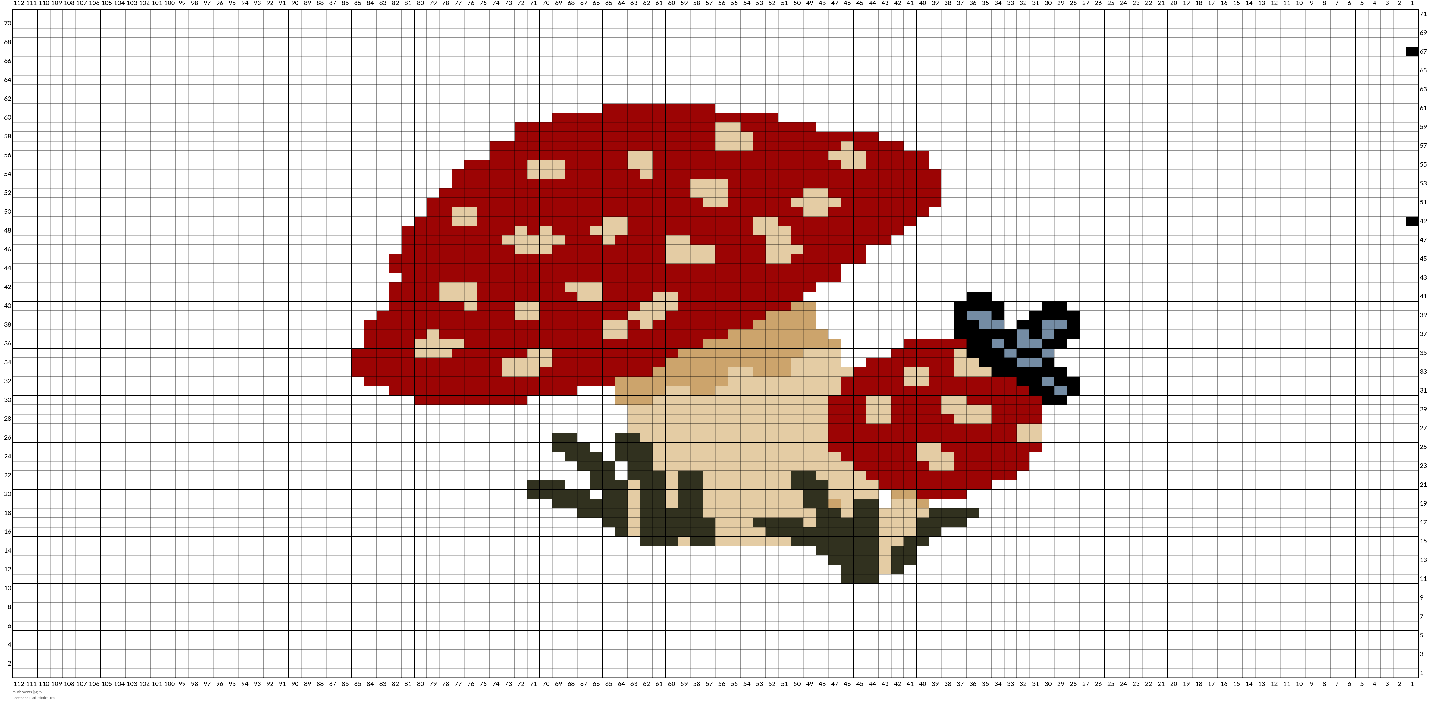 mushrooms.jpg