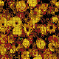 harry-grout-1htr8XrGGTI-unsplash.jpg