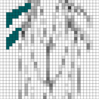 cicada