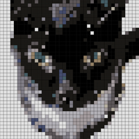 D8DA597F-B0E8-4382-919C-93C04D8FC973.jpeg